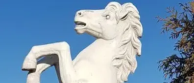 Eine weiße Pferdestatue steht auf zwei Beinen in einem Park. Sie ist von Büschen und Bäumen umgeben. Im Hintergrund ist ein blauer Himmel und einige Gebäude zu sehen.