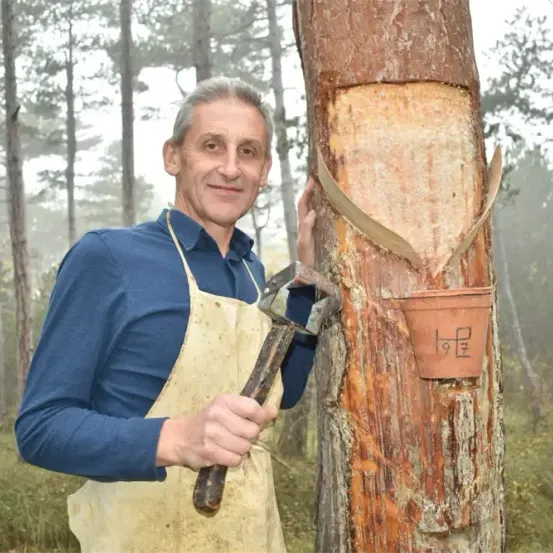 Ein Mann in einem blauen Hemd und einer Schürze steht neben einem Baum, hält einen Hammer und berührt den Baumstamm, an dem ein Behälter befestigt ist.