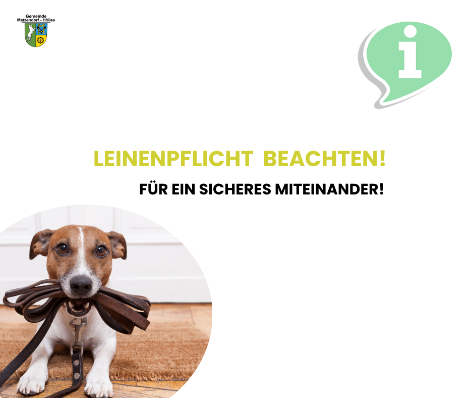 Eine Werbung mit einem Hund an der Leine, die die Bedeutung der Leinenpflicht für ein sicheres Miteinander betont.