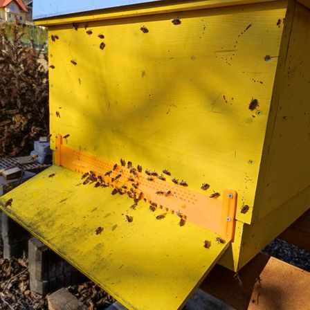 v1_migrated_image_65824