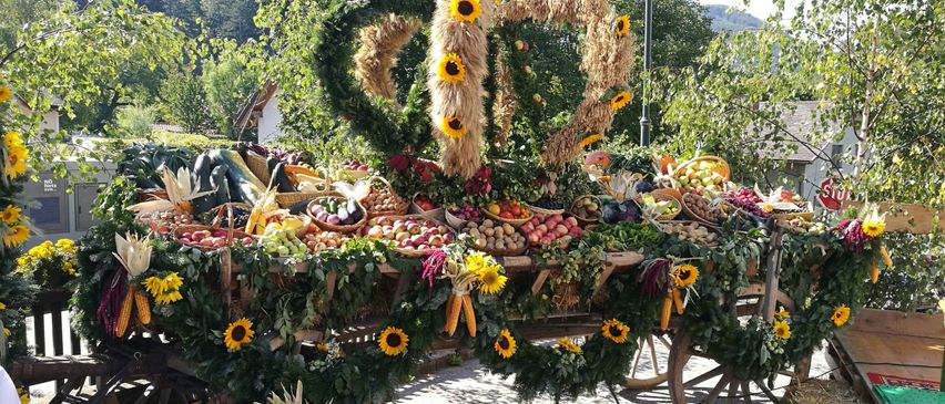 Bild enthält, Flower, Flower Arrangement, Plant, Flower Bouquet, Wheel, Garden, Nature, Outdoors, Sunflower, Pineapple