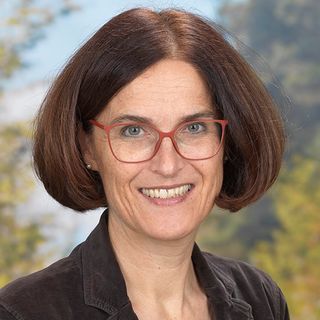 Bild von Mag. Helene Schaja