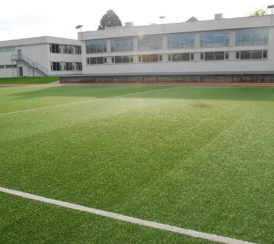 Bild enthält, Field, Grass, Plant, Lawn, Bench, Furniture