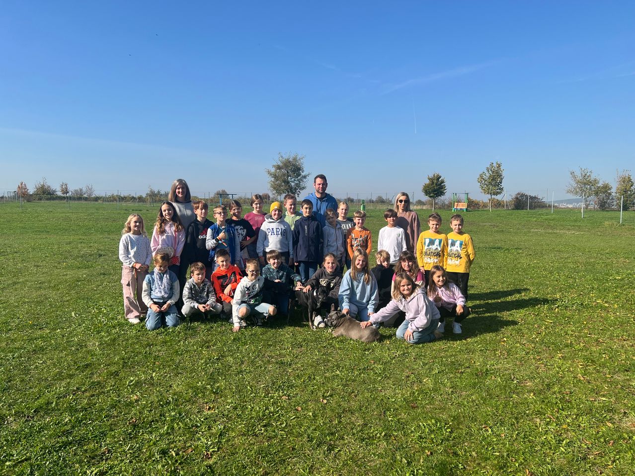 Bild enthält, People, Person, Grass, Outdoors, Park, Groupshot, Child, Female, Girl, College