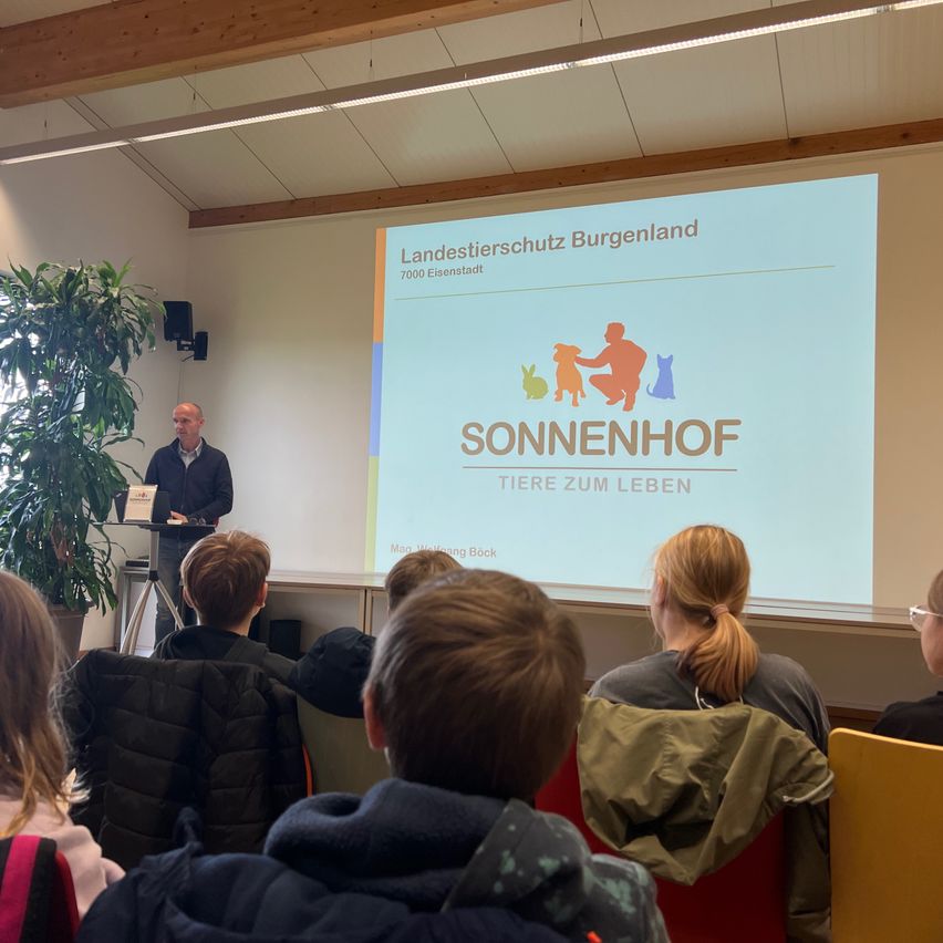 Bild enthält, People, Person, Crowd, Adult, Female, Woman, Audience, Boy, Child, Male