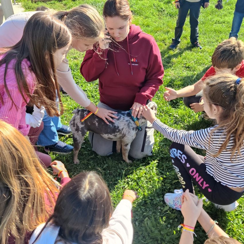 Eine Gruppe von Kindern ist um eine Frau versammelt, die einen Hund auf dem Rasen streichelt. Die Frau trägt eine bordeauxrote Hoodie.