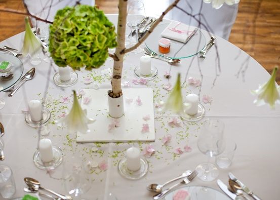 Ein Tisch für einen besonderen Anlass, mit einem Birkenzweig als Mittelpunkt, Kerzen und Blumenblättern auf der Tischdecke. Der Tisch ist von Besteck und Weingläsern umgeben.