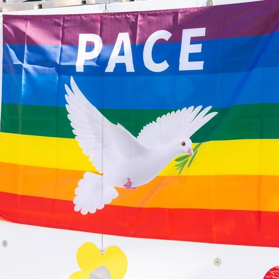 Eine weiße Taube mit ausgebreiteten Flügeln, die einen grünen Olivenzweig im Schnabel hält, fliegt über eine Regenbogenflagge mit dem Wort 'Frieden' in weißen Buchstaben.