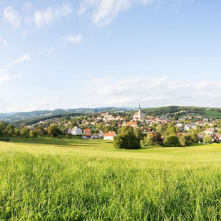 Bild enthält, Landscape, Nature, Outdoors, Grass, Scenery, Field, Grassland, Meadow, Panoramic, Pasture