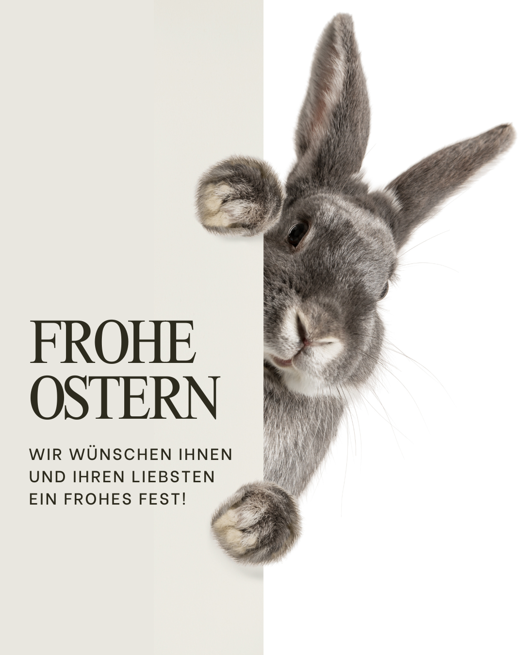 A rabbit holds a white card with the words 'Frohe Ostern' written in German, wishing a happy Easter. The image is a simple yet festive Easter card design.