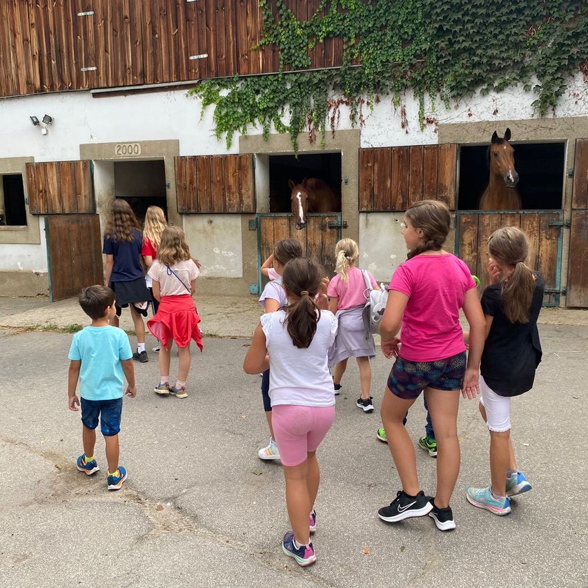 Bild enthält, Zoo, Shorts, People, Person, City, Street, Urban, Shelter, Walking, Shoe