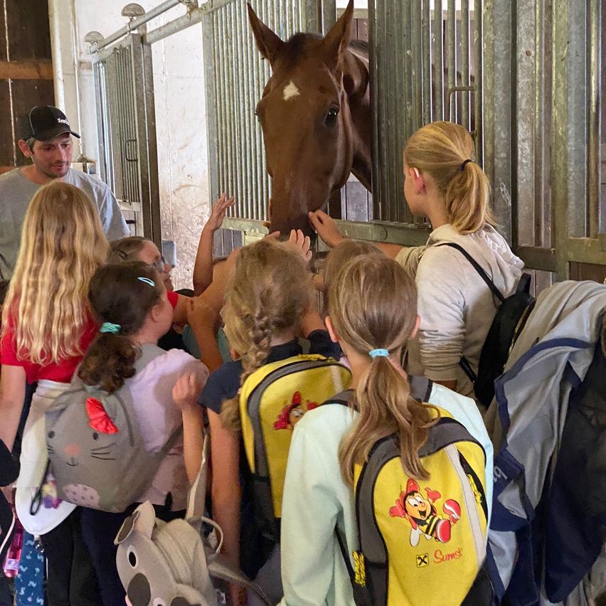 Bild enthält, Bag, Person, Child, Female, Girl, Backpack, Boy, Male, Adult, Man