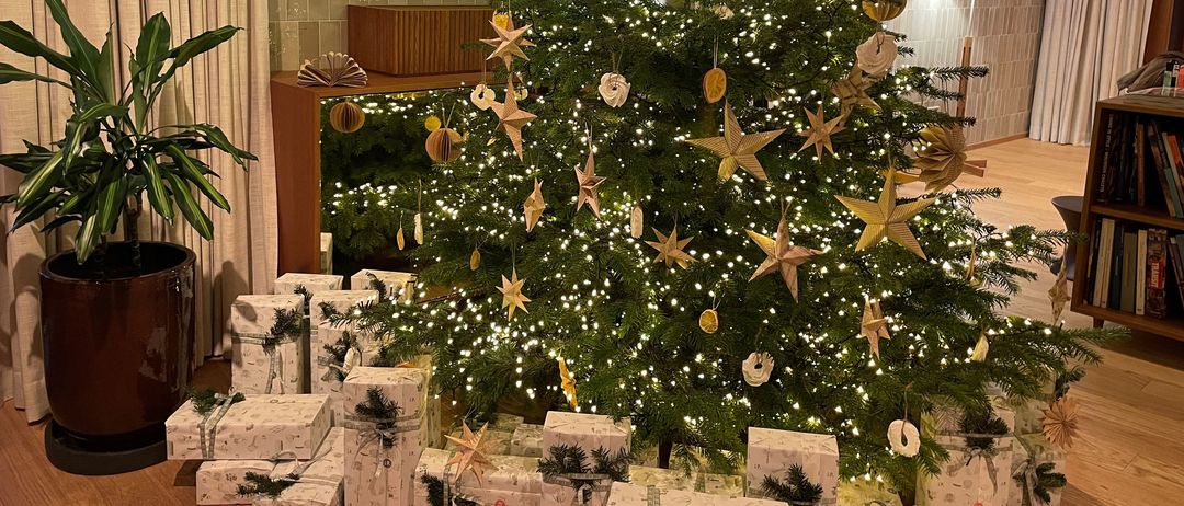 Plant, Tree, Potted Plant, Christmas, Christmas Decorations, Festival, Christmas Tree, Wood, Living Room, Room