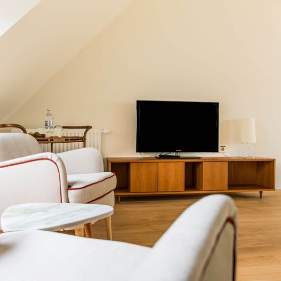 Indoors, Interior Design, Living Room, Computer Hardware, Hardware, Monitor, Screen, TV, Wood, Loft