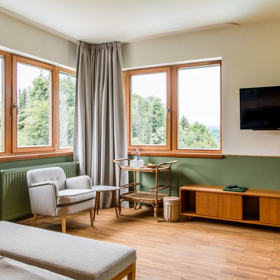 Furniture, Living Room, Interior Design, Computer Hardware, Hardware, Monitor, Screen, TV, Chair, Window