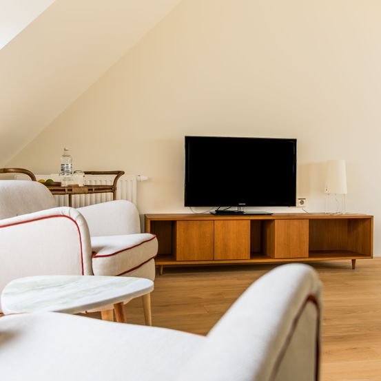 Living Room, Interior Design, Computer Hardware, Monitor, Screen, Wood, TV, Flooring, Couch, Hardwood