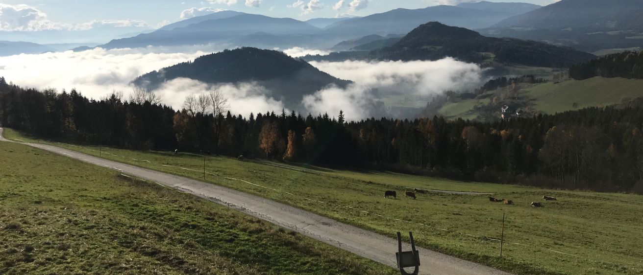 Bild enthält, Grass, Nature, Outdoors, Scenery, Mountain Range, Road, Plateau, Peak, Landscape, Cow