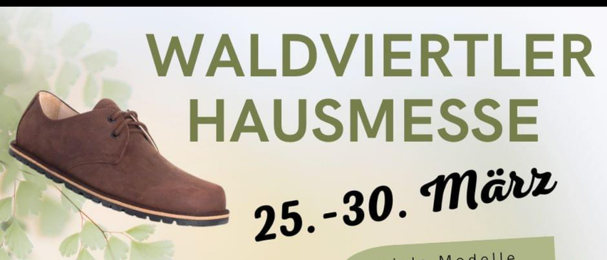 Bild enthält, Advertisement, Clothing, Footwear, Shoe, Poster, Sneaker, Suede