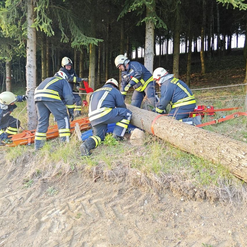 Feuerwehrleute trainieren im Wald und entfernen mit Seilen und Ausrüstung einen umgestürzten Baumstamm. Sie tragen Helme und Uniformen.