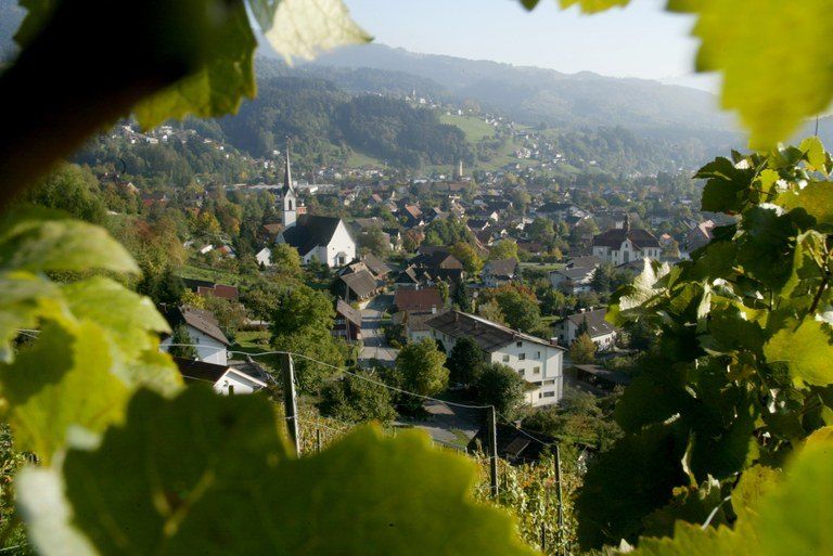 image-768-ae1760be02cd9c665263c6c0d1f63aec(1)