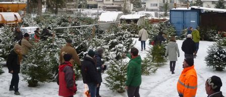 Eine Gruppe von Menschen in Winterkleidung steht um ein Feuer in einem verschneiten Bereich, umgeben von Tannenbäumen. Sie scheinen Weihnachtsbäume zu kaufen.