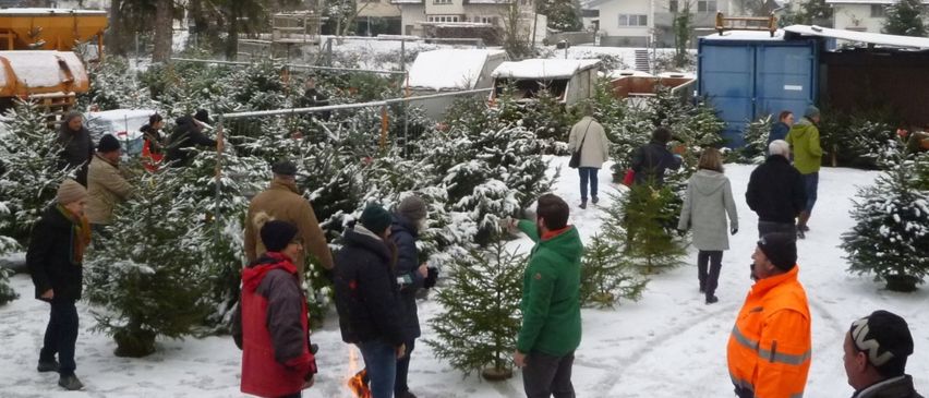 Eine Gruppe von Menschen in Winterkleidung steht um ein Feuer in einem verschneiten Bereich, umgeben von Tannenbäumen. Sie scheinen Weihnachtsbäume zu kaufen.