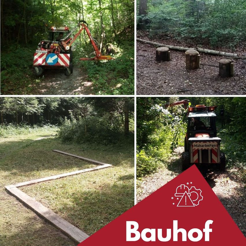 Vier Bilder eines Waldes mit verschiedenen Szenen. Eine zeigt einen Traktor mit einem Kran. Eine andere zeigt Baumstümpfe auf einem Pfad. Eine dritte zeigt eine Holzstruktur auf Gras. Das vierte zeigt einen Traktor auf einem Pfad.