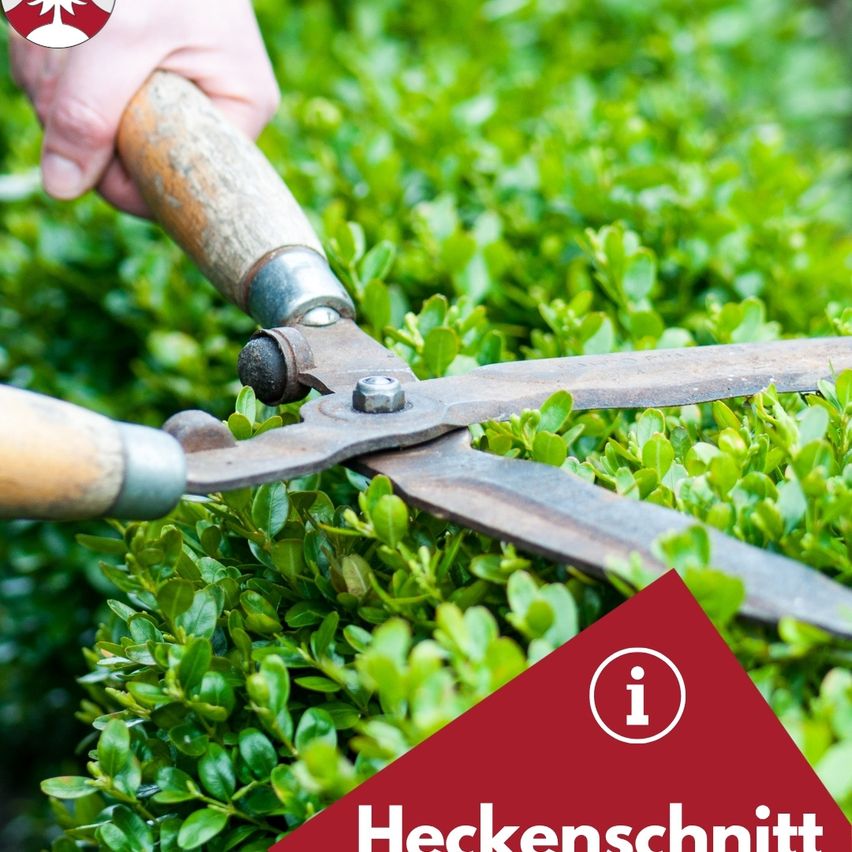 Eine Hand hält eine Heckenschere über einem Busch. Der Text 'Heckenschnitt' ist sichtbar.