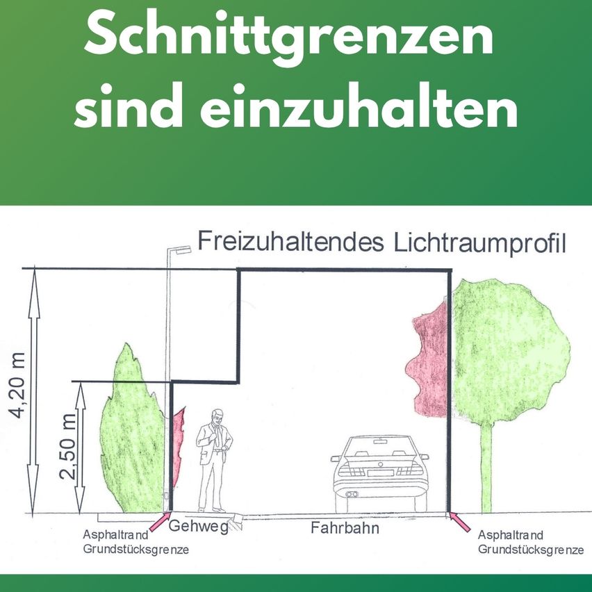 Schnittgrenzen