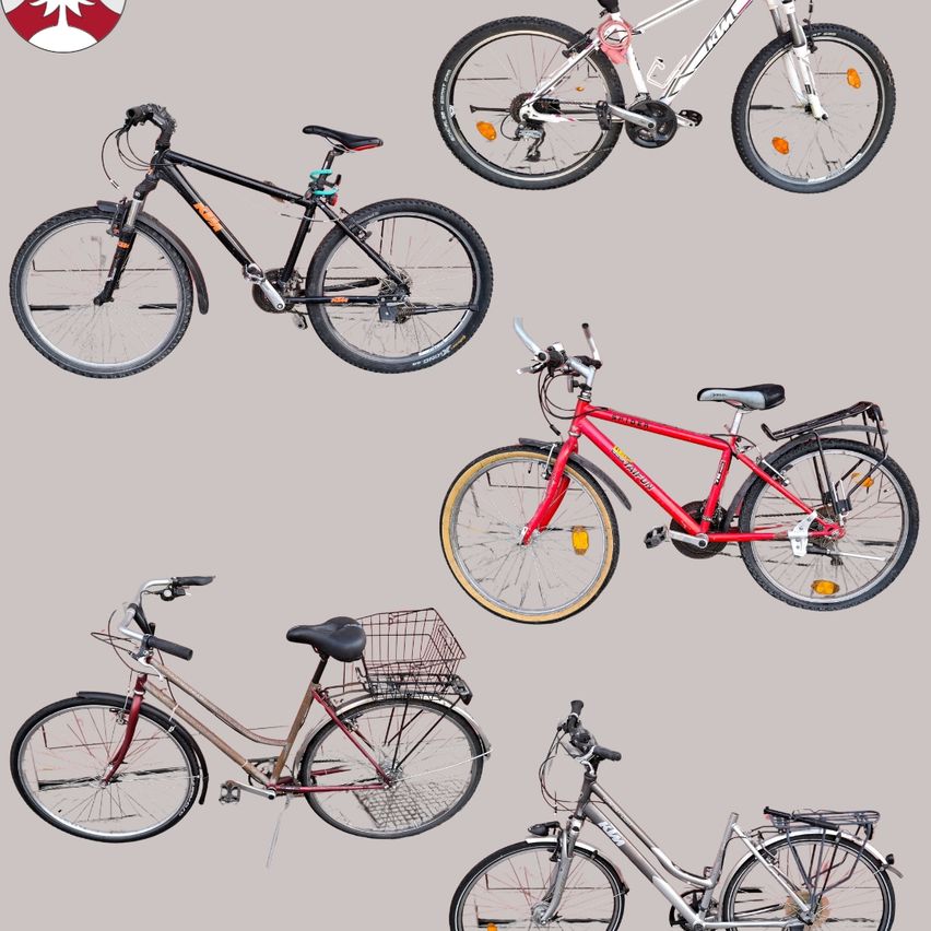 Six different bicycles of various colors and designs are displayed against a gray background. Each bike has distinct features, such as baskets or different wheel sizes.