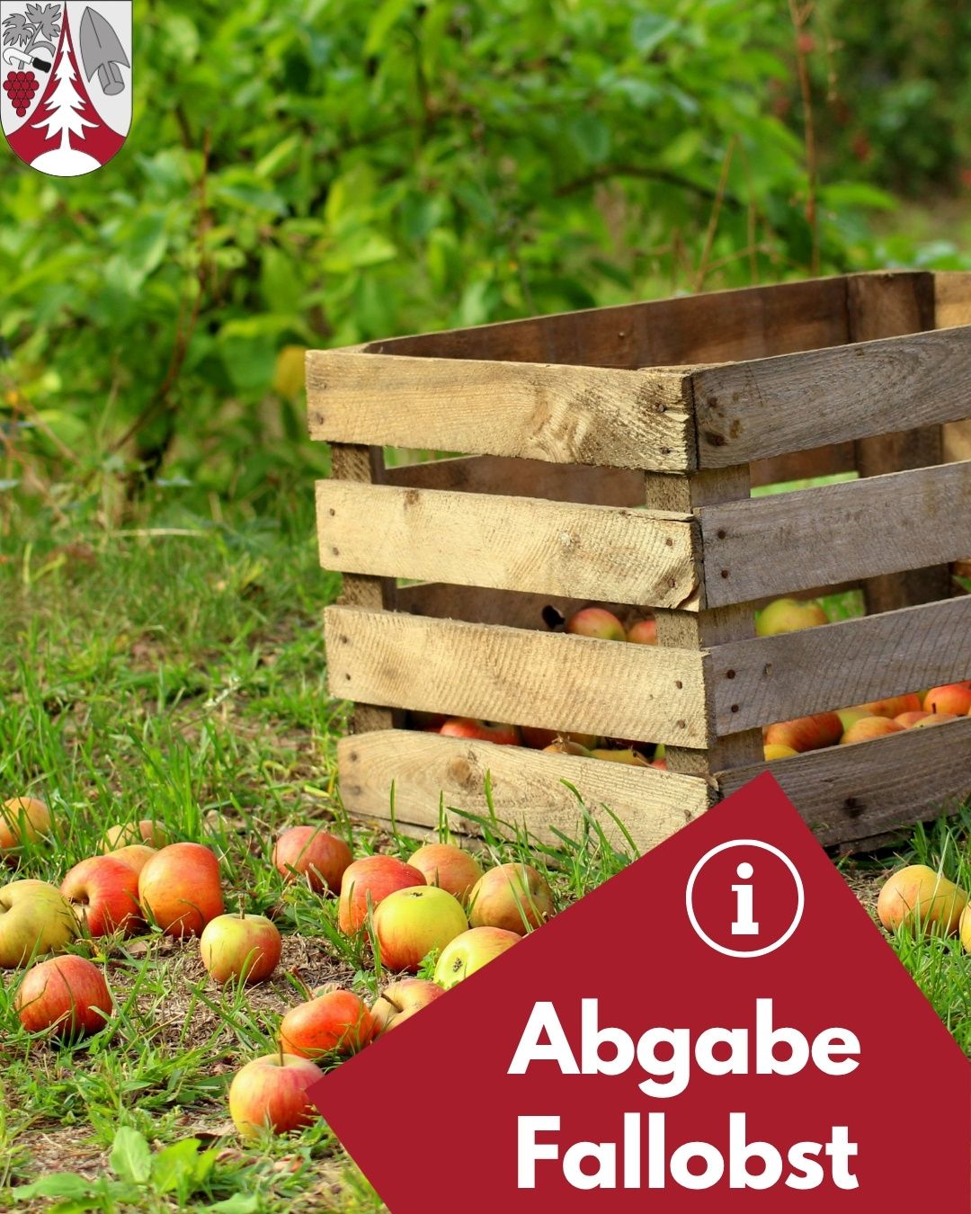 Ein Holzkasten voller Äpfel steht auf Gras, mit einigen Äpfeln darum verstreut. Der Kasten hat ein rotes Dreieck mit dem Text 'Abgabe' und einem 'i' Symbol.