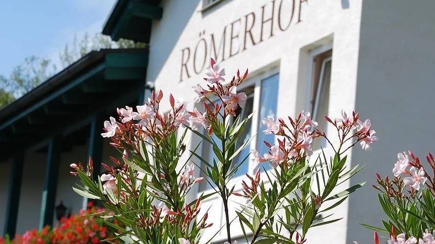 v1_migrated_image_72087061