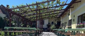Ein Restaurant mit einem Außenbereich unter einer Metallpergola, die mit grünen Ranken bedeckt ist. Die Tische und Bänke sind in Reihen mit grünen Tischdecken angeordnet. Das Gebäude hat gelbe Wände und Fenster mit Topfpflanzen.