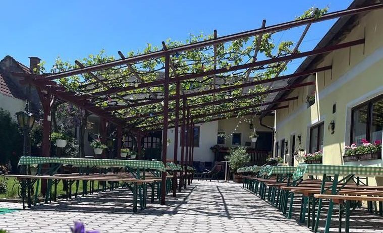 Ein Restaurant mit einem Außenbereich unter einer Metallpergola, die mit grünen Ranken bedeckt ist. Die Tische und Bänke sind in Reihen mit grünen Tischdecken angeordnet. Das Gebäude hat gelbe Wände und Fenster mit Topfpflanzen.