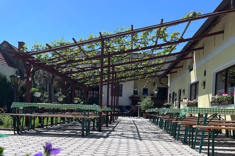 Ein Restaurant mit einem Außenbereich unter einer Metallpergola, die mit grünen Ranken bedeckt ist. Die Tische und Bänke sind in Reihen mit grünen Tischdecken angeordnet. Das Gebäude hat gelbe Wände und Fenster mit Topfpflanzen.