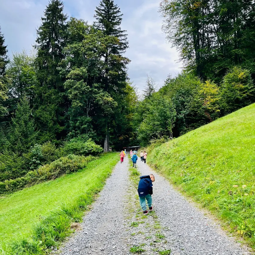 Eine Gruppe von Kindern in bunten Jacken geht auf einem Kiesweg in einem Wald. Der Weg ist von saftigem grünem Gras und hohen Bäumen umgeben.