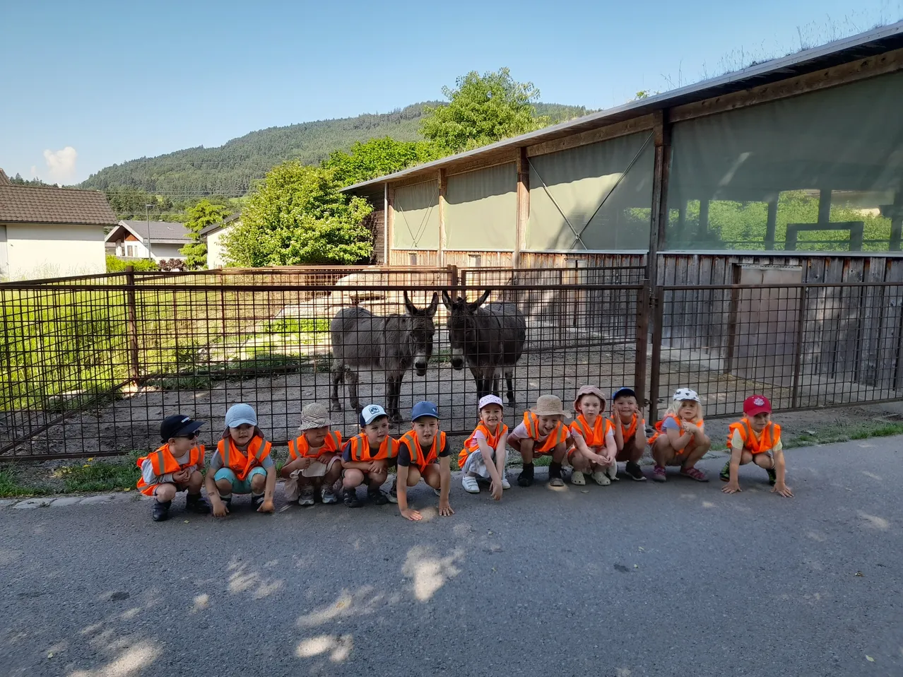 Eine Gruppe von Kindern in orangefarbenen Westen posiert vor einem Zaun mit Eseln in einem Zoo für ein Foto.