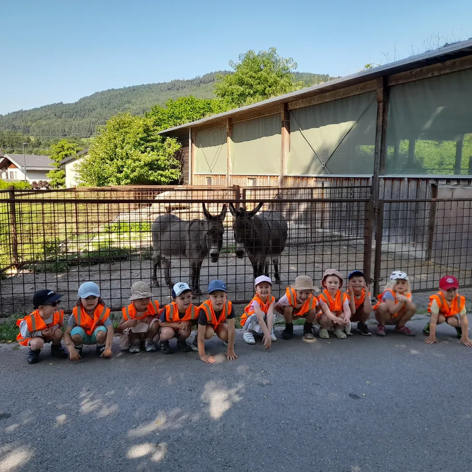 Eine Gruppe von Kindern in orangefarbenen Westen posiert vor einem Zaun mit Eseln in einem Zoo für ein Foto.