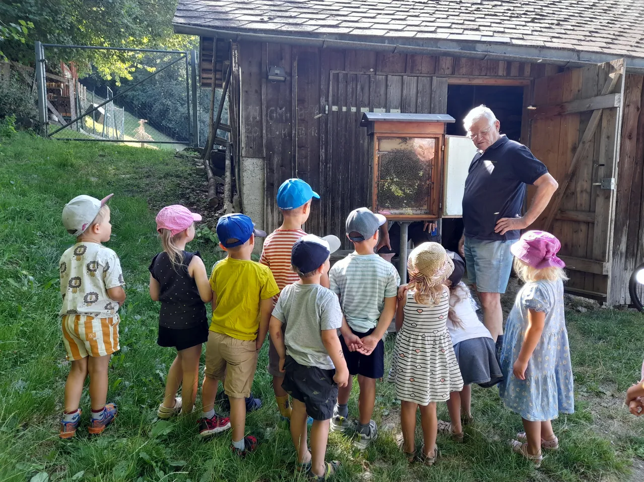 Eine Gruppe von Kindern und ein älterer Mann stehen vor einem Holzgebäude mit einem ausgestellten Bienenstock. Die Kinder tragen Mützen und Turnschuhe und beobachten aufmerksam den Bienenstock.
