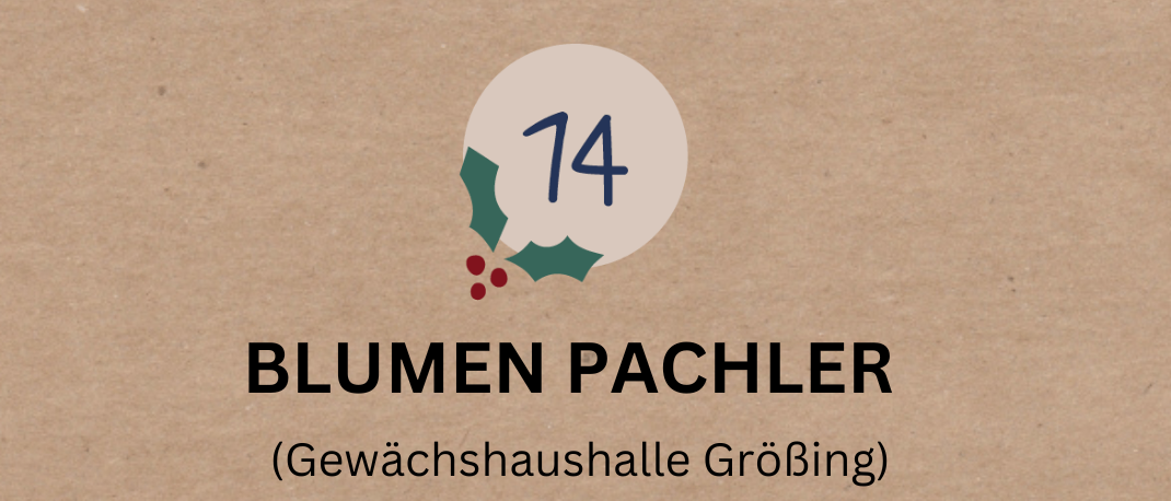 Blumen Pachler präsentiert ein Adventfenster mit Rabatten bis zu 40% auf Weihnachtsdekoration, Sterne und Christbäume. Holz-Zirkus bietet einen Workshop für Kinder. Es gibt auch Naturkosmetik, Weihnachtsbäckerei und Weinverkostung. Live-Musik mit Weihnachtsliedern.