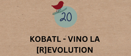 Tieschener Adventfenster 20 Veranstaltungsposter. Zeigt einen Vogel, einen Kreis und die Zahl 20. Der Text lautet 'Kobatl - Vino La [R]evolution'. Die Veranstaltung beginnt um 16:00 Uhr. Das Essen umfasst Snacks, Pastrami, Süßigkeiten, Glühwein und lebendigen Wein.