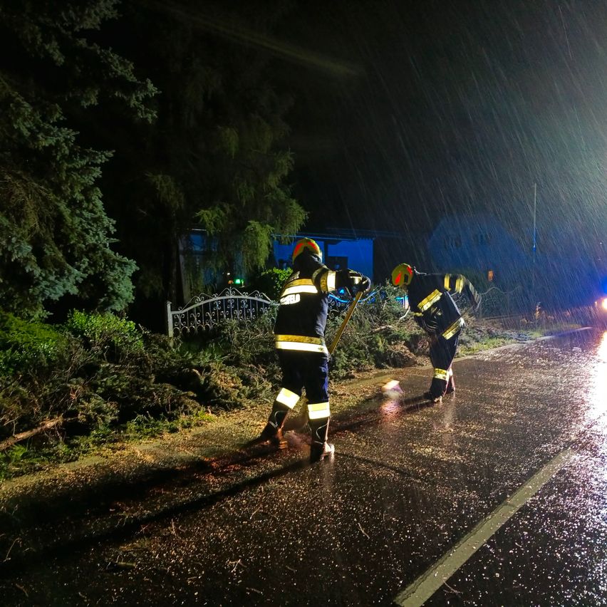 Zwei Feuerwehrleute in gelben und schwarzen Uniformen räumen Äste von einer nassen Straße während eines Sturms.
