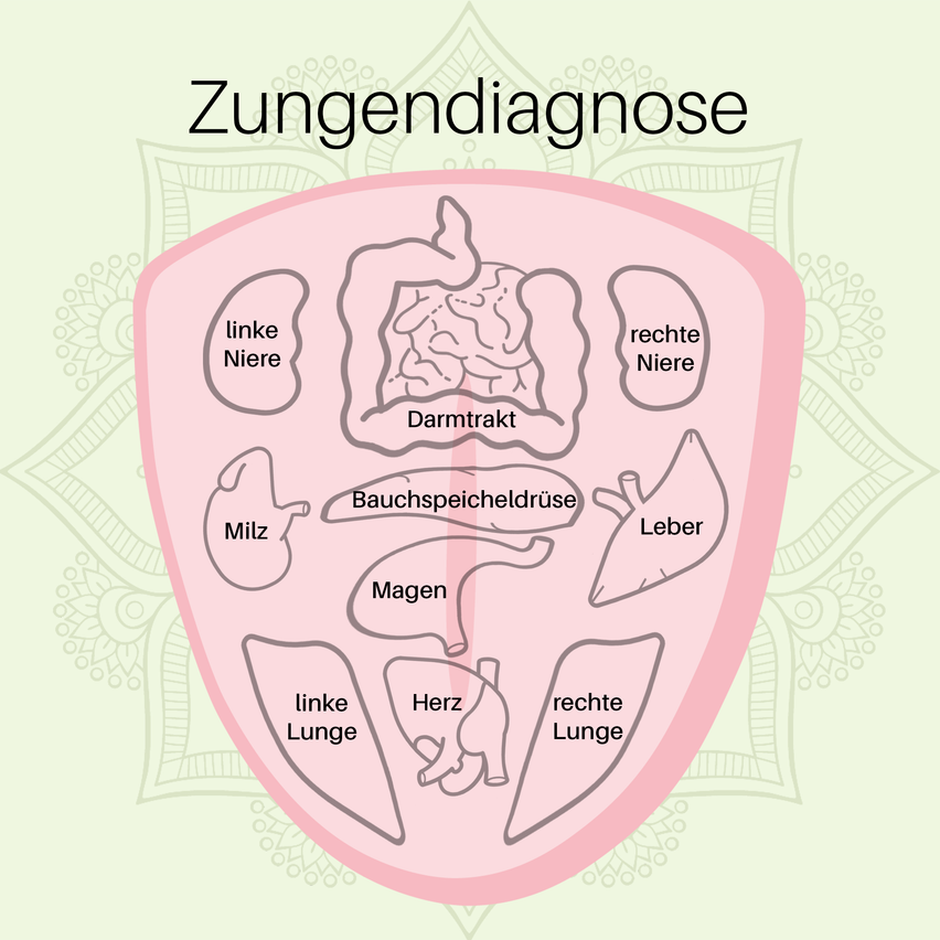 Bild enthält, Body Part, Mouth, Person, Teeth, Head, Face