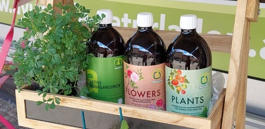 Bild enthält, Herbs, Plant, Potted Plant, Food, Seasoning, Herbal, Syrup, Planter, Person