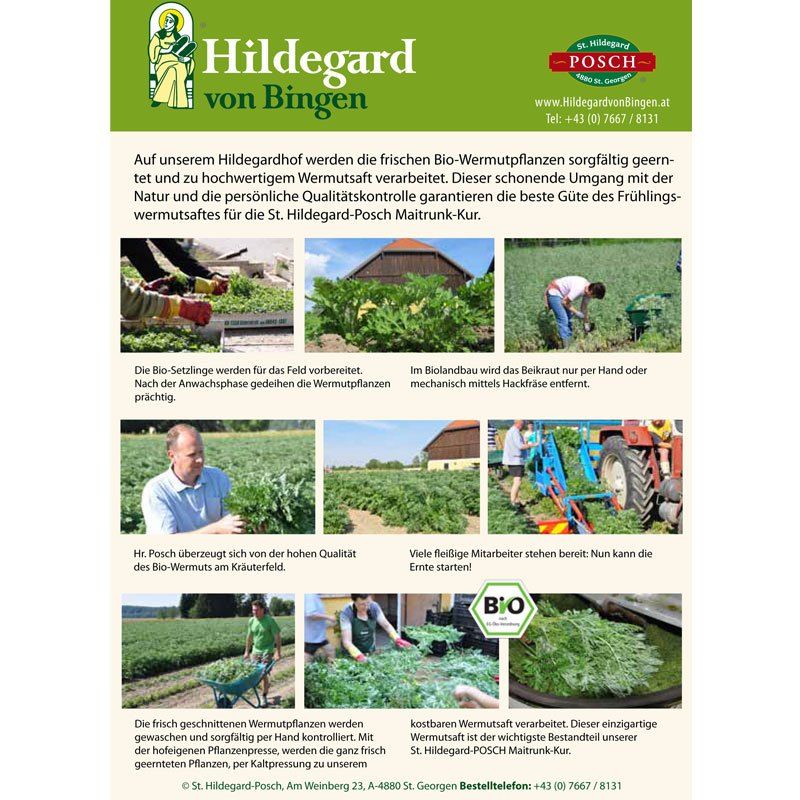 WermutsaftrGHcZ3yS40jcc