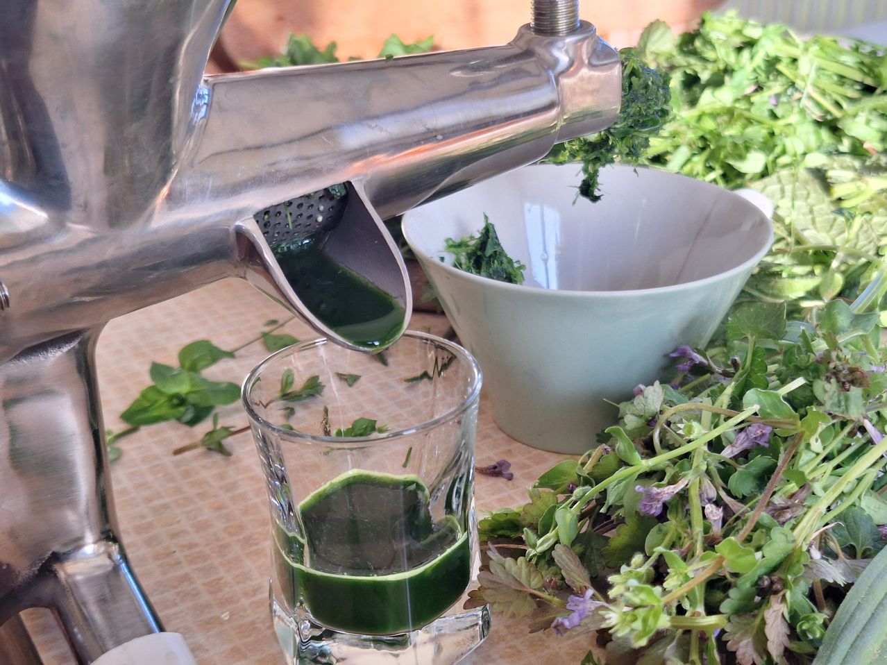 Ein Edelstahlsieb gießt grüne Flüssigkeit in einen Glasbecher. Die Flüssigkeit ist wahrscheinlich ein Gemüsesaft.