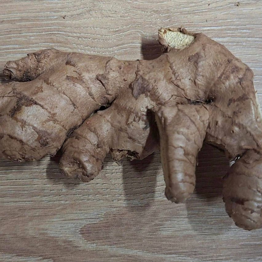 Bild enthält, Food, Ginger, Plant, Spice, Ammunition, Grenade, Weapon