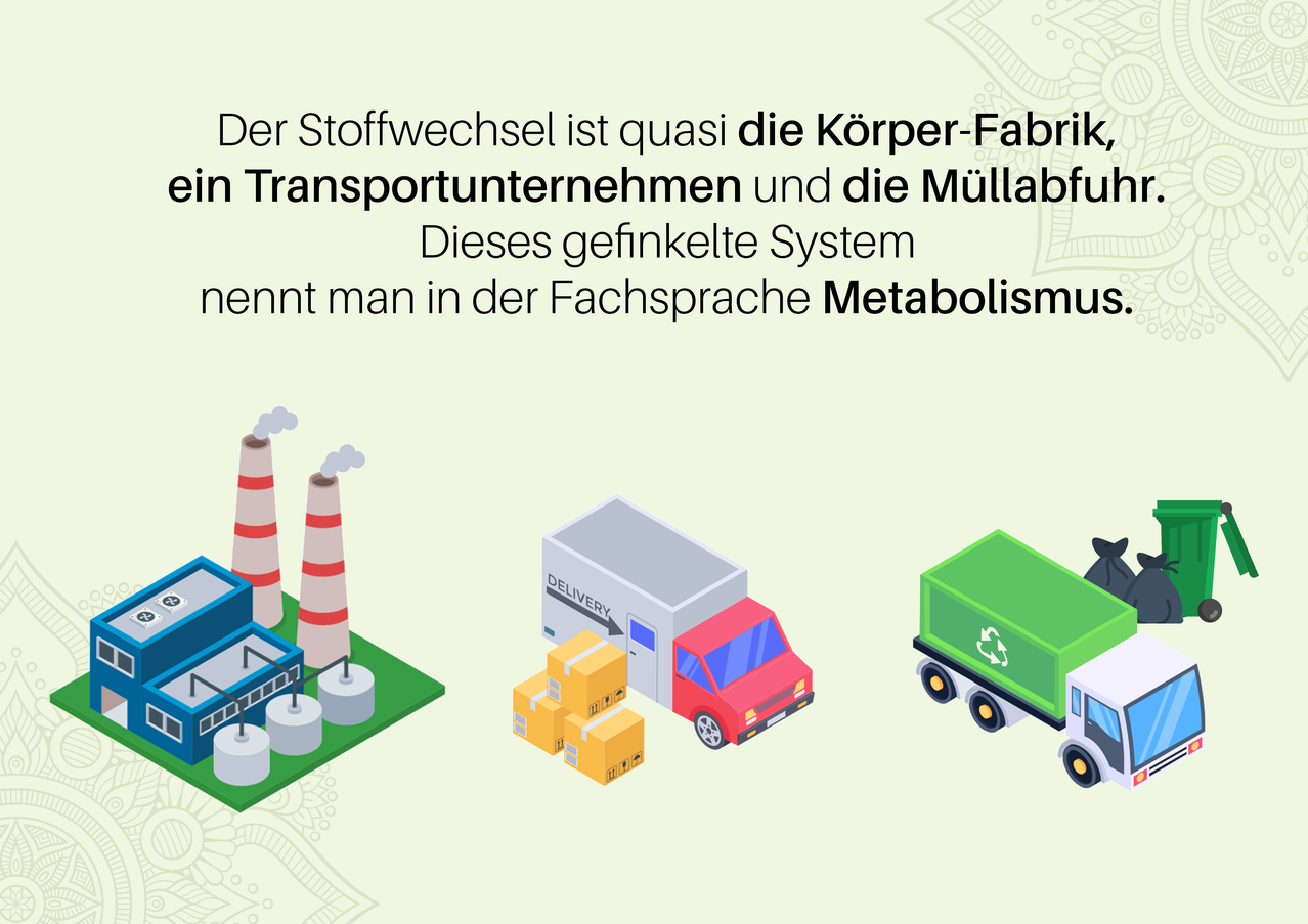 Das Bild zeigt eine Fabrik mit Schornsteinen, einen Lieferwagen und einen Müllwagen. Der Text lautet 'Der Stoffwechsel ist quasi die Körper-Fabrik, in Transportunternehmen und die Müllabfu.' Es bedeutet 'Der Stoffwechsel ist quasi die Körper-Fabrik, in Transportunternehmen und die Müllabfuhr.'