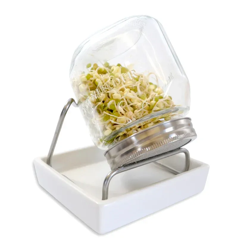 Ein Glas mit grünen Sprossen steht auf einem weißen Tablett mit einem Metallständer. Der Behälter hat einen Deckel aus Edelstahl. Die Sprossen sind in vertikaler Position. Der Hintergrund ist weiß.