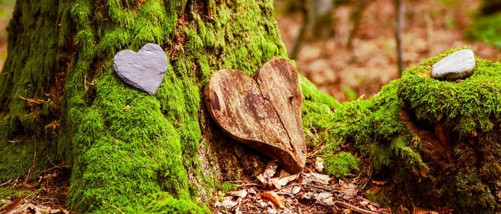 Ein aus Holz gefertigtes Herz und ein steinernes Herz liegen auf einem moosbedeckten Baumstamm im Wald.
